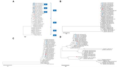 Genetic characterization of canine astrovirus in non-diarrhea dogs and diarrhea dogs in Vietnam and Thailand reveals the presence of a unique lineage